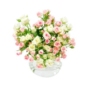 Spray Roses