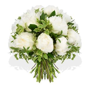 Cloud Nine